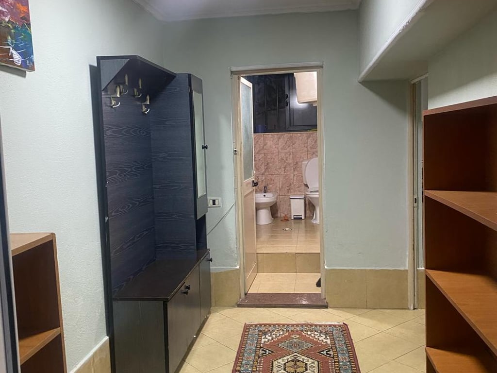 1+1 apartment for rent in Myslym Shyr.