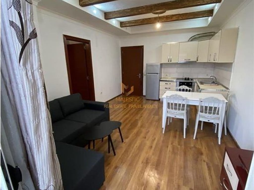 A 1+1 apartment is available for rent at Vila L 1.