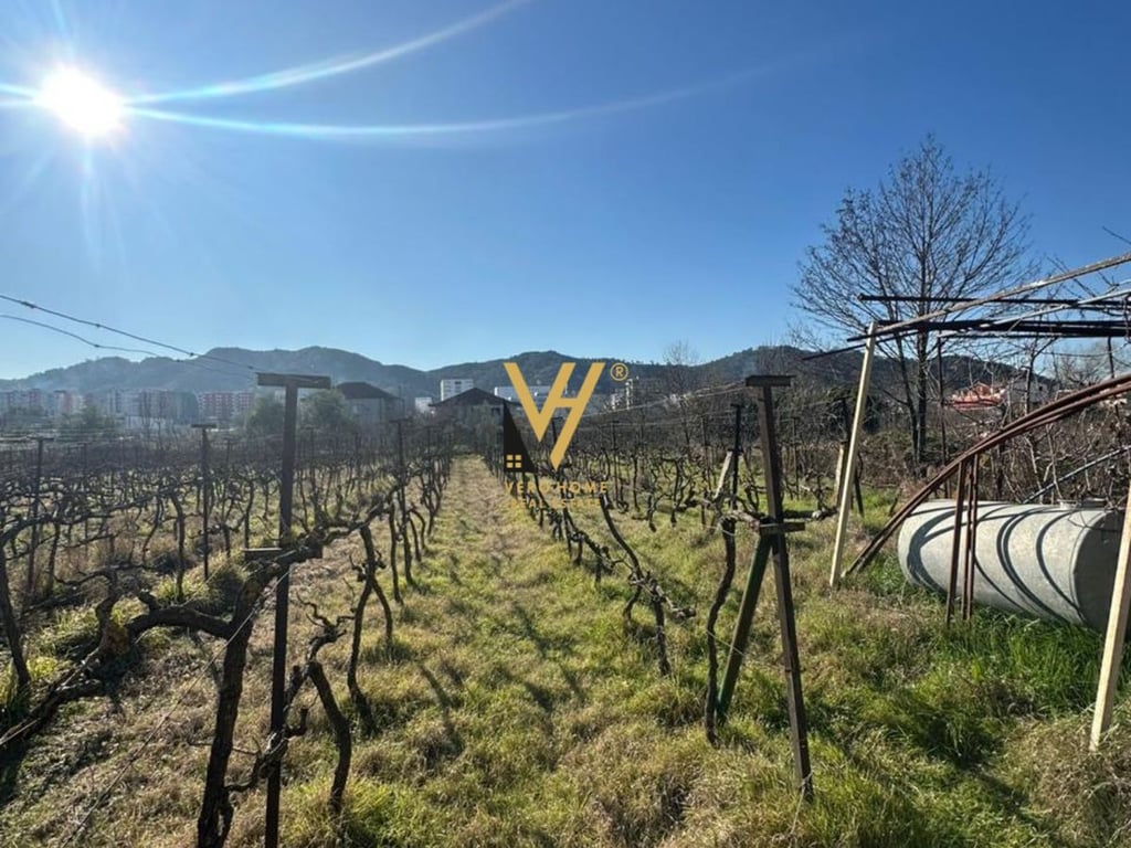 SHITET TOKE ARE 2.000 M2 NE VORE 220.000 EURO