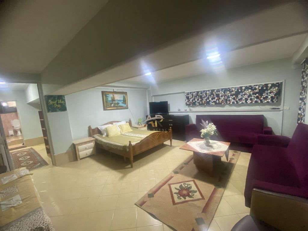 1+1 apartment for rent in Myslym Shyr.