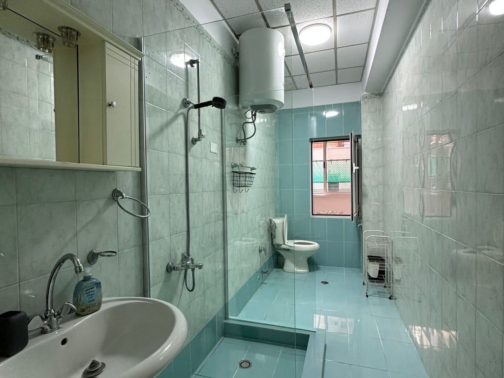 1+1 apartment for rent in Myslym Shyr.