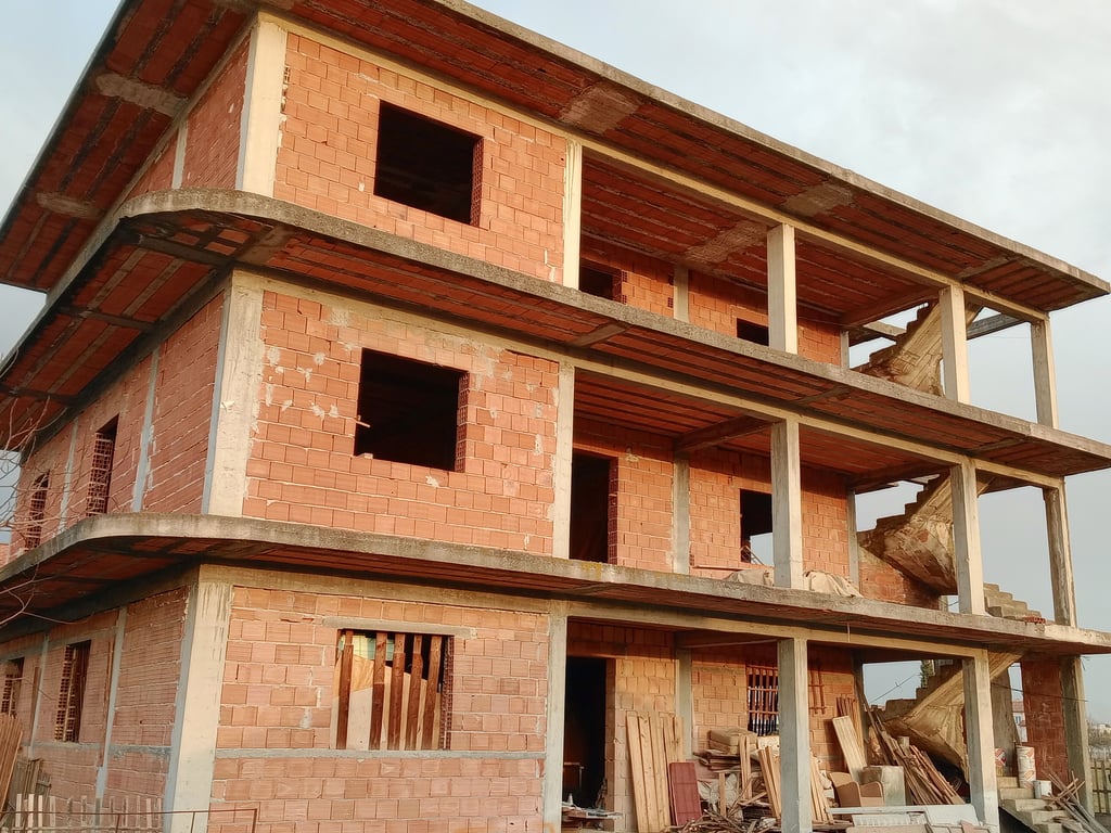 SHITET SHTËPI NË ZONEN E KAMZES.