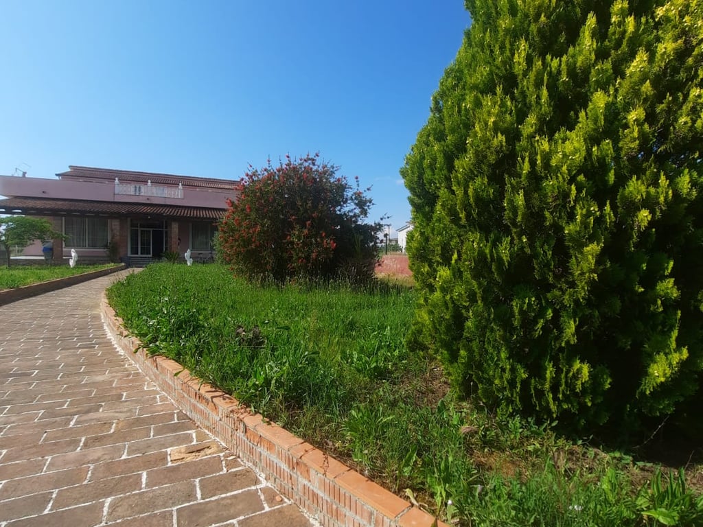 🔥Super property for sale, opportunity for agritourism🔥 Restaurant + 3500 m² of land for sale in Blerimaj, 2km from the Kavaje-Rrogozhine highway.