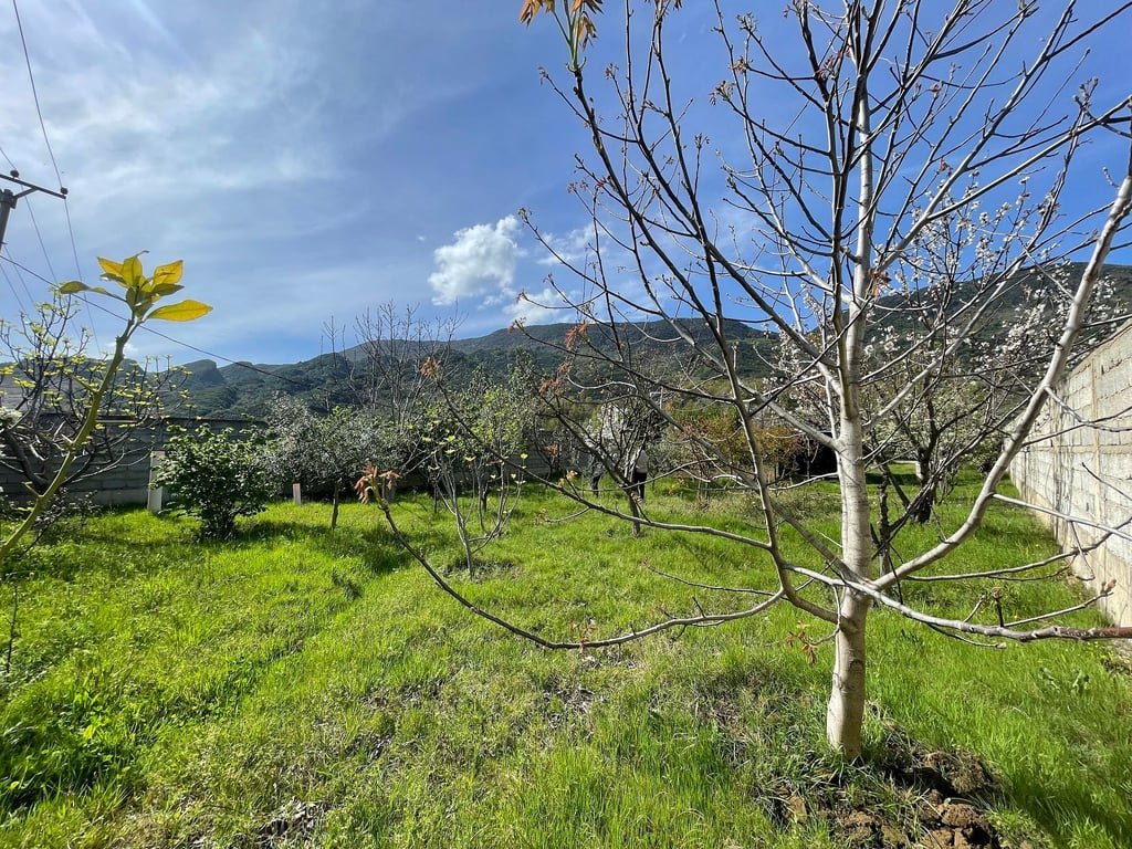 Vende in vendita a Bërzhitë vicino al "PalmaNova" Resort.