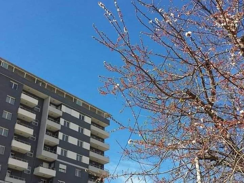 Apartament 1+1 me qera per plazhista, Lungomare, Vlore