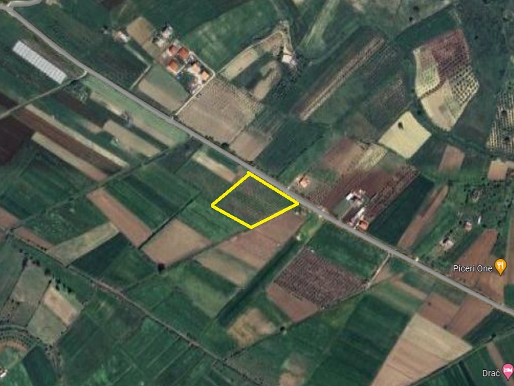 💠💠SHITET💠💠  Toke e mbjelle me shege,Golem,Kavaje