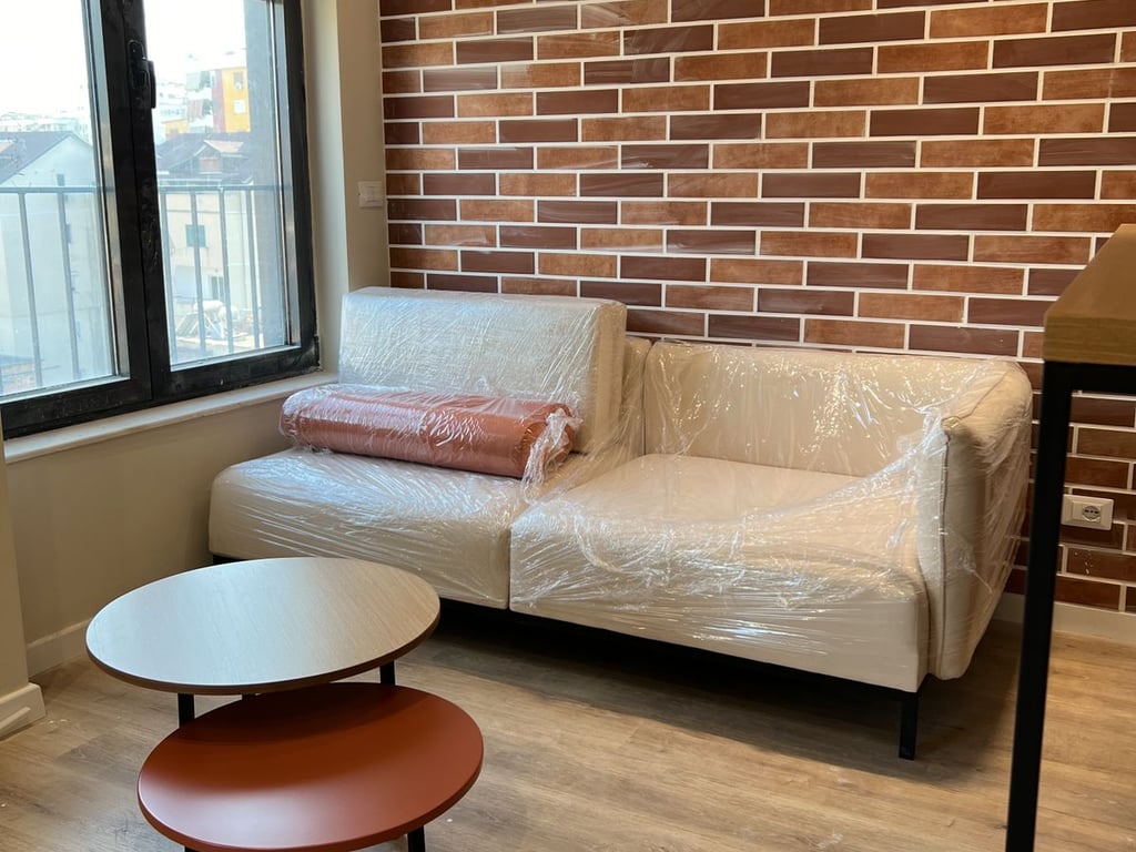 Apartment 1+1 for rent on Bulevardi i Ri.