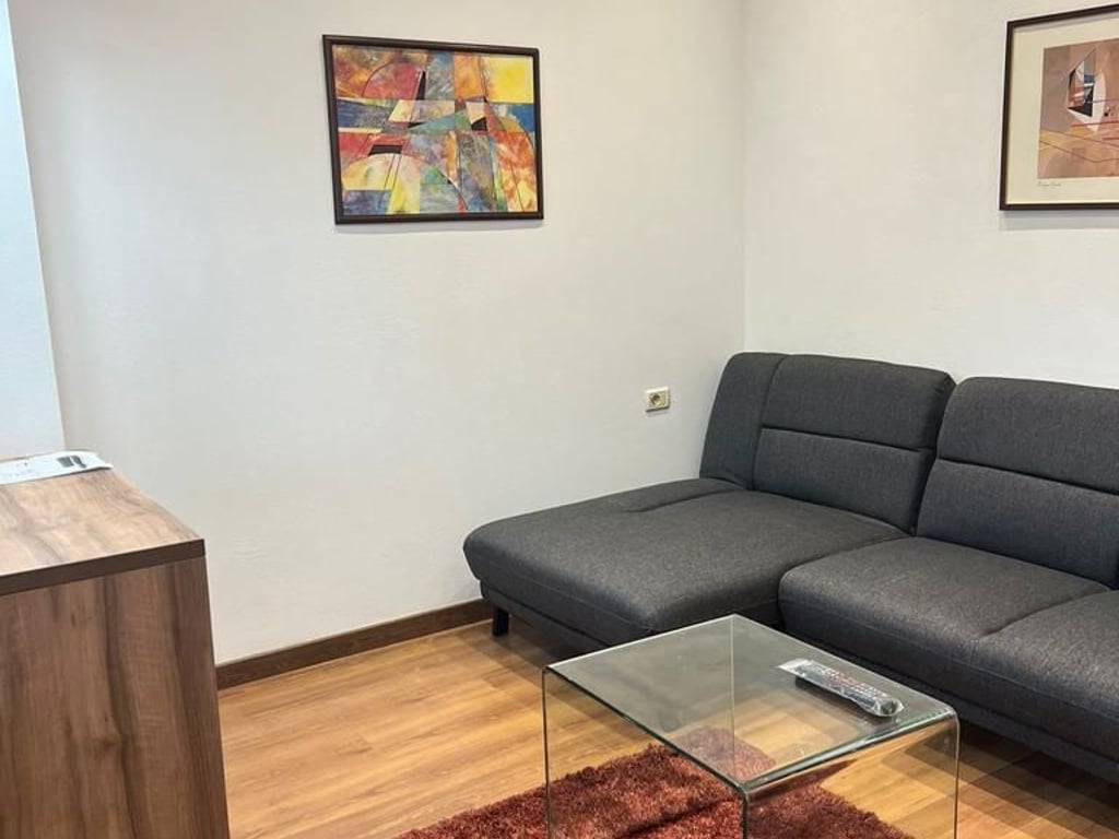 1+1 apartment for rent in the Center.