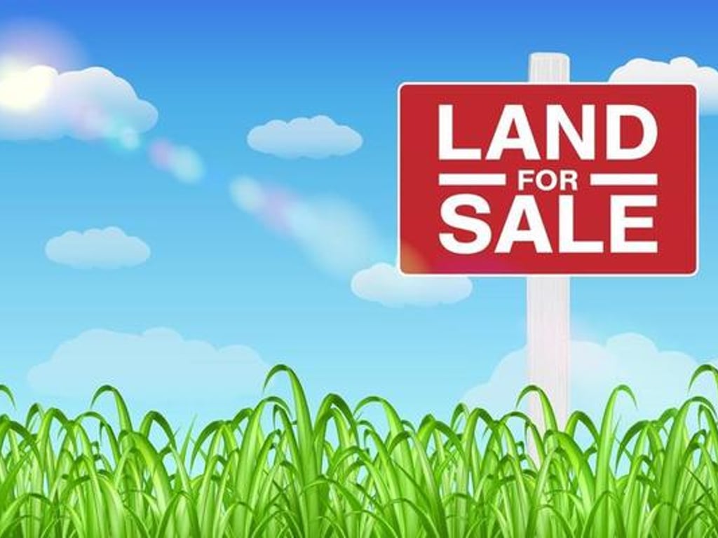 Land suitable for a shed is for sale 📌VORE