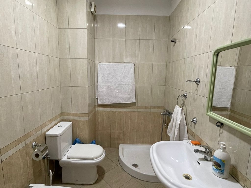 APARTMENT 1+1 FOR RENT 550 EURO SIRI KODRA