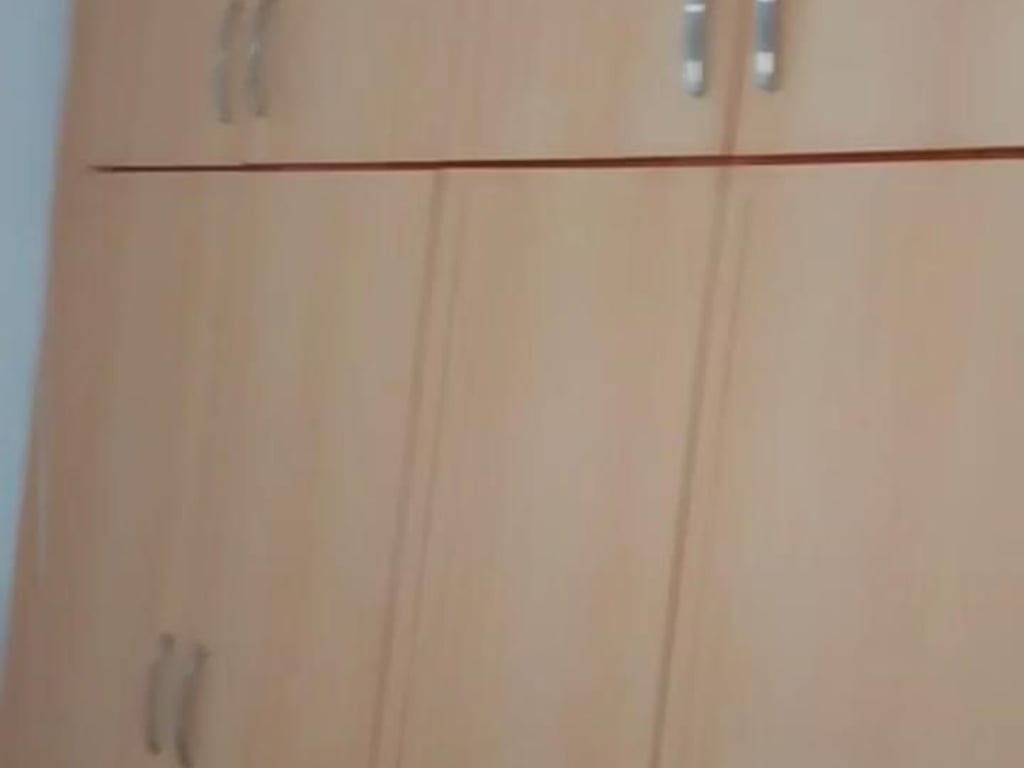 A 1+1 apartment is for rent in Yzberisht.