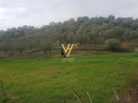 SHITET TOKE 6.500 M2 NE MARQINET, VORE 160.000 EURO