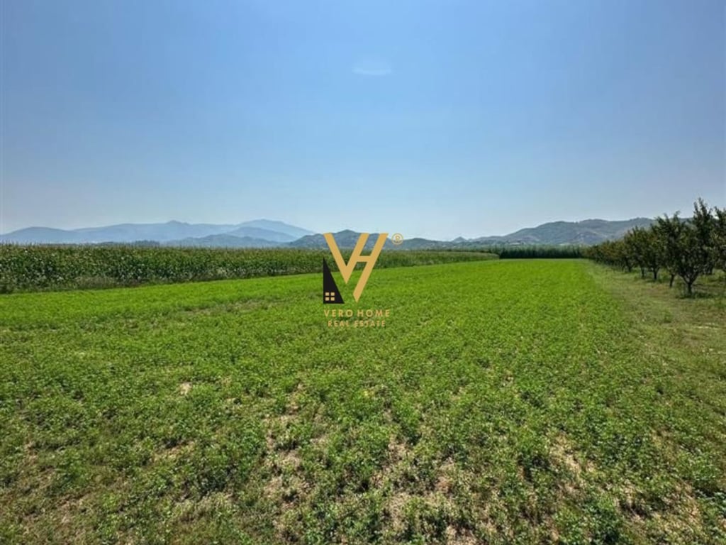 SHITET TOKE 13.000 M2 NE VORE 1.170.000 EURO