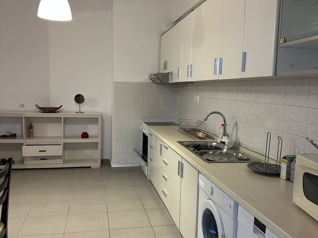 1+1 apartment for rent in Myslym Shyr.