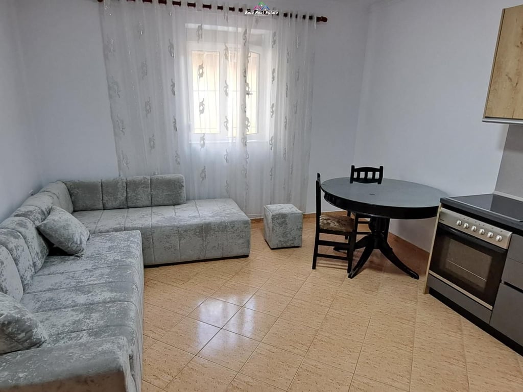 Villa Unifamiliare In Affitto 1+1 In Via Dibra (ID BV22415) Tirana