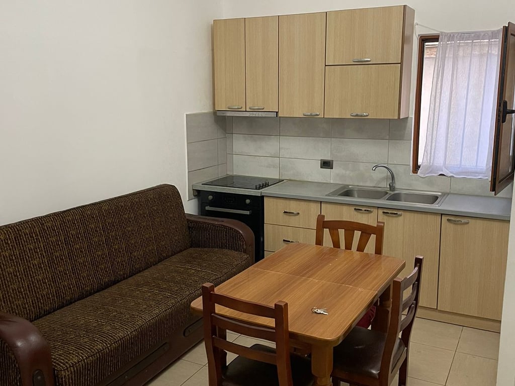 Jepet me qera apartamenti 1+1, Nenstacioni Elektrik Bulevardi i Ri 330 mije leke