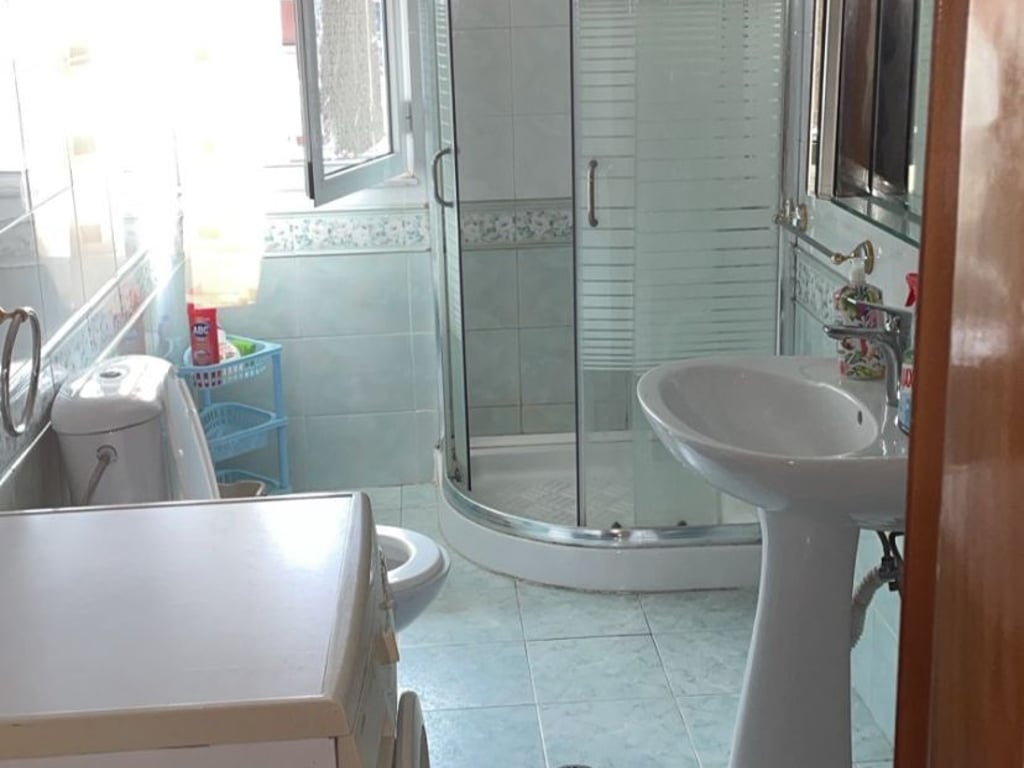 Apartment 1+1 for rent near the old park.