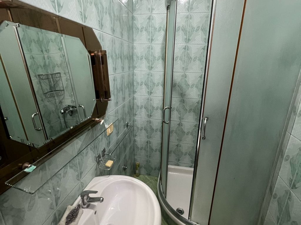 Apartament Me Qera 1+1 Tek Mine Peza (ID B2101082) Tirane