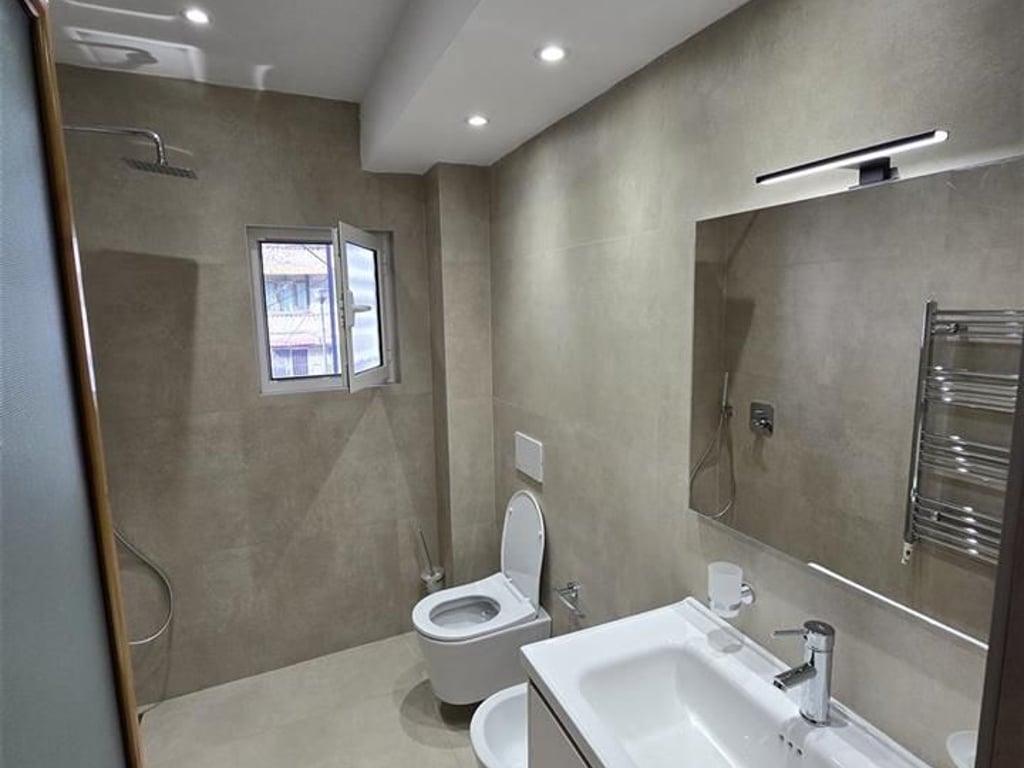 1+1 apartment for rent in Ali Demi