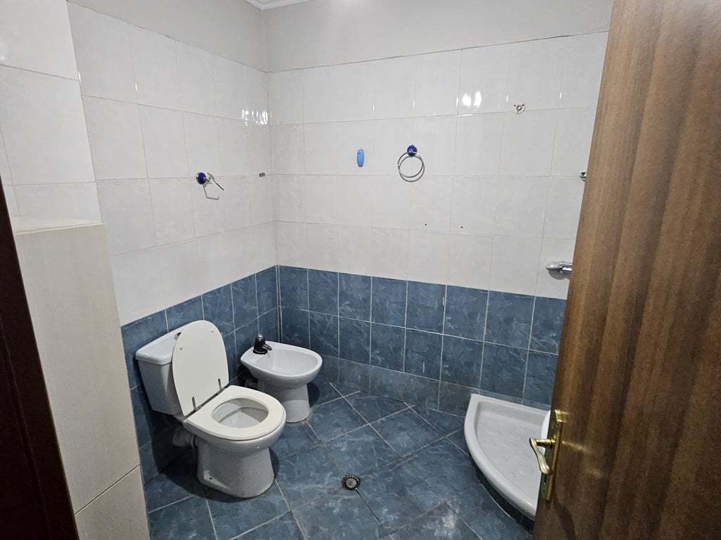 Affittasi Appartamento 1+1, Via Kavajes, di fronte a Delijorgji Prezzo: 500 mila lekë