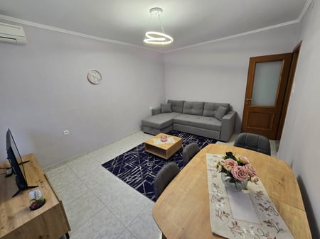 APPARTAMENTO IN AFFITTO 1+1