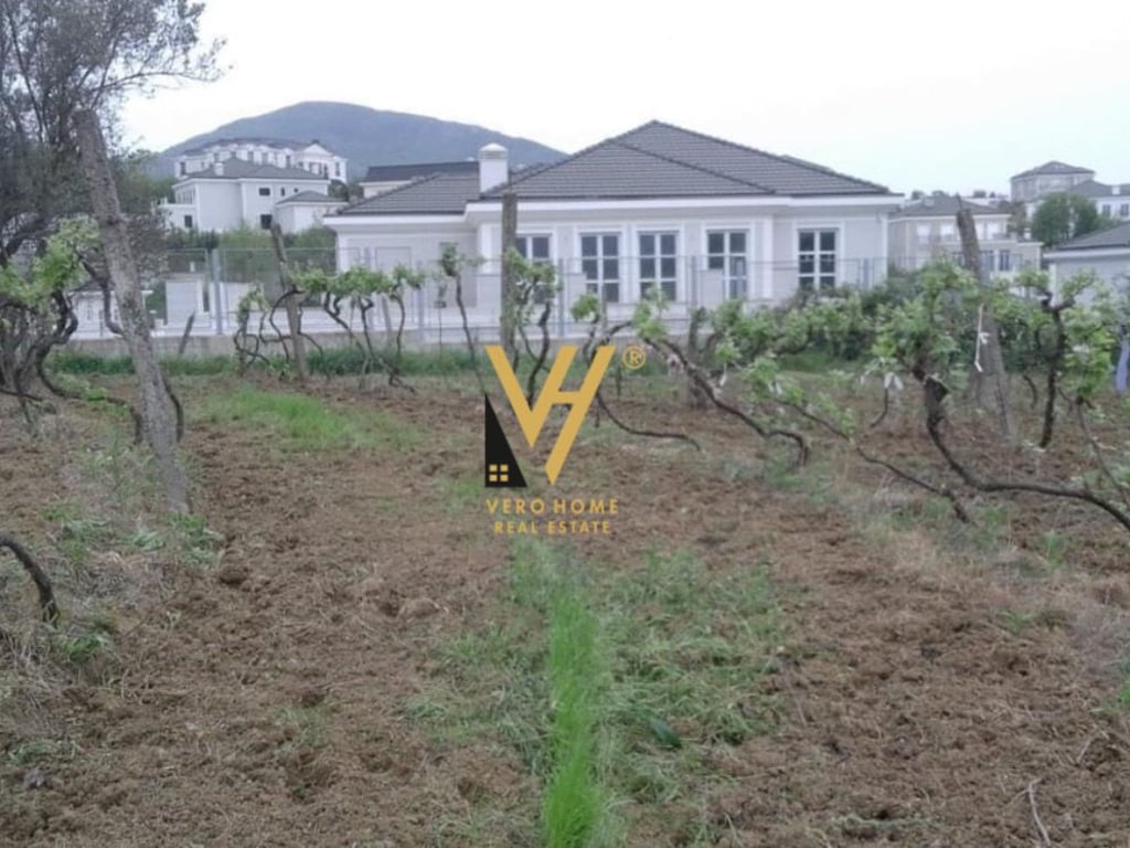 SHITET TOKE VRESHTE 5.000 M2 NE LUNDER 600.000 EURO