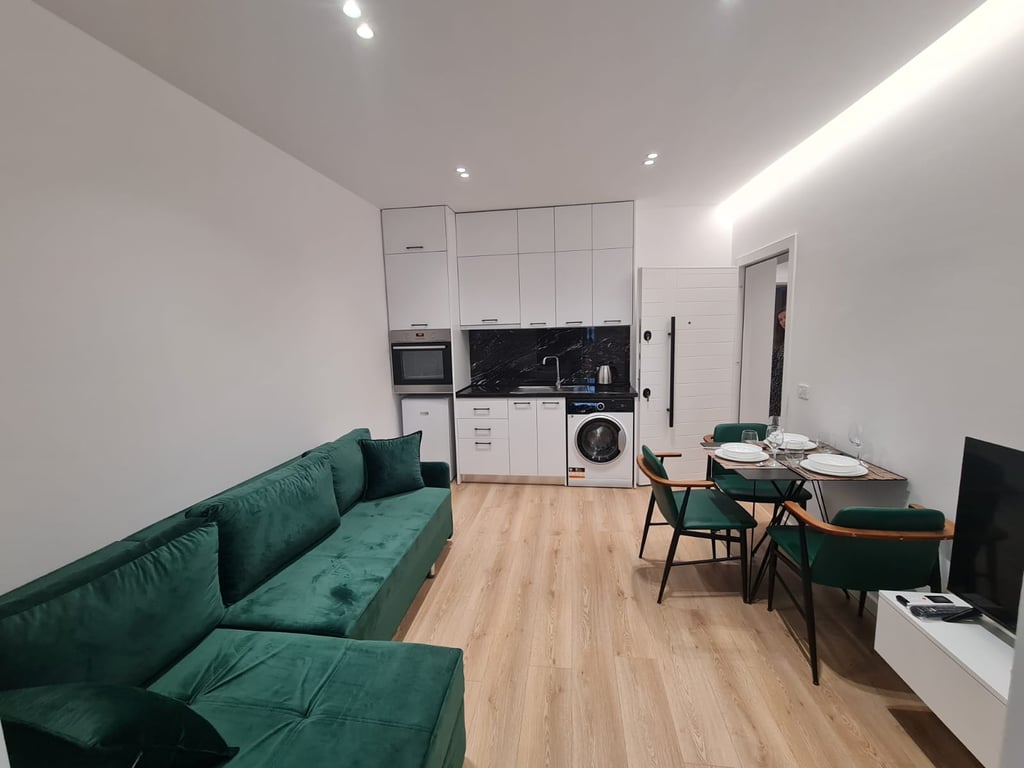 Air Bnb Apartment Rent Near Me Cheap FOR RENT APARTMENTS 1+1 NEAR THE  FACULTY
