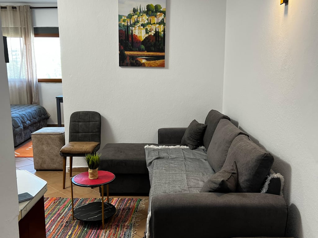 Apartament me Qira 1+1 Te Rruga 5 Maji