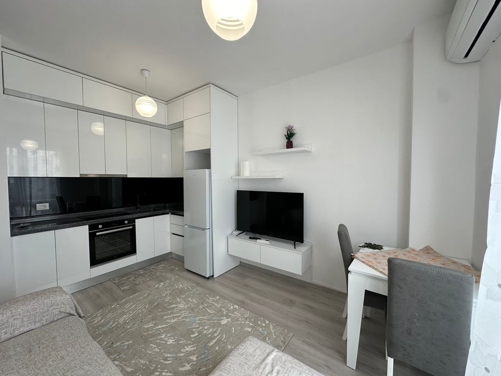 1+1 APARTMENT FOR RENT PORCELAIN