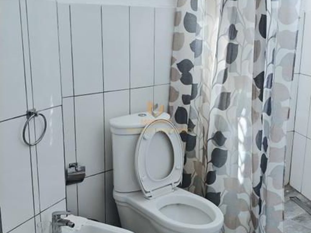 A 1+1 apartment is available for rent in Myslym Shyr, Tennis Field.