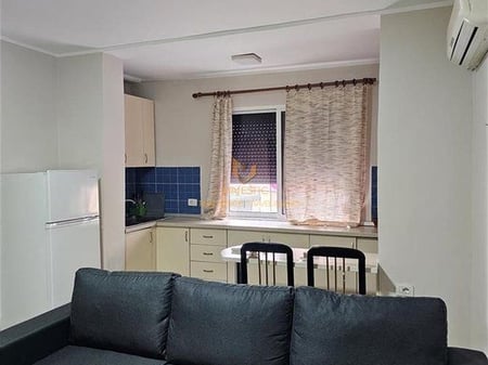 A 1+1 apartment is available for rent in Myslym Shyr.