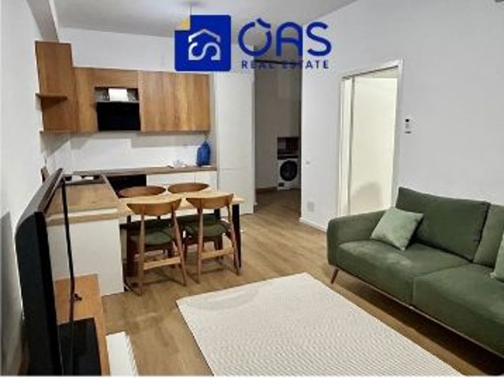 Apartment 1+1 for rent in Ali Dem. 450 euros.