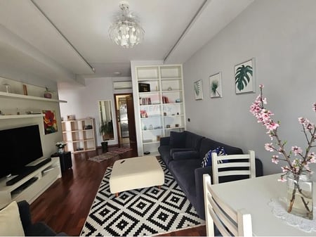 1+1 apartment for rent.