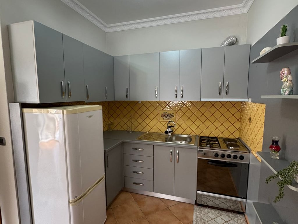 Apartament 1+1 me Qira + Garazh