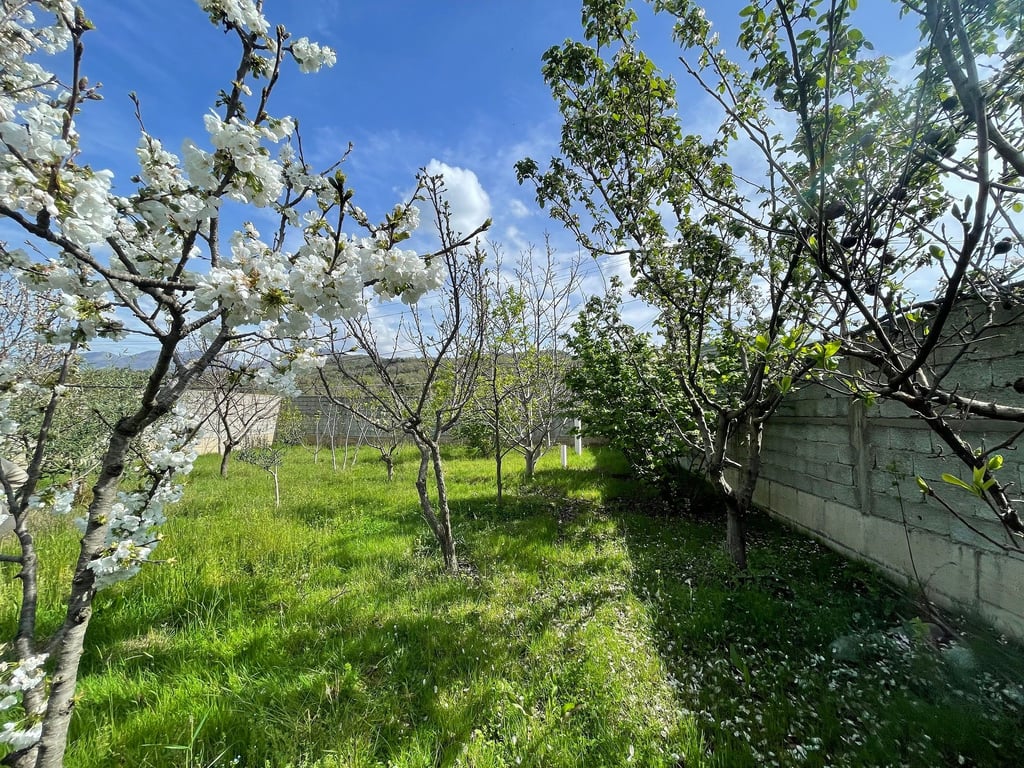 Vende in vendita a Bërzhitë vicino al "PalmaNova" Resort.