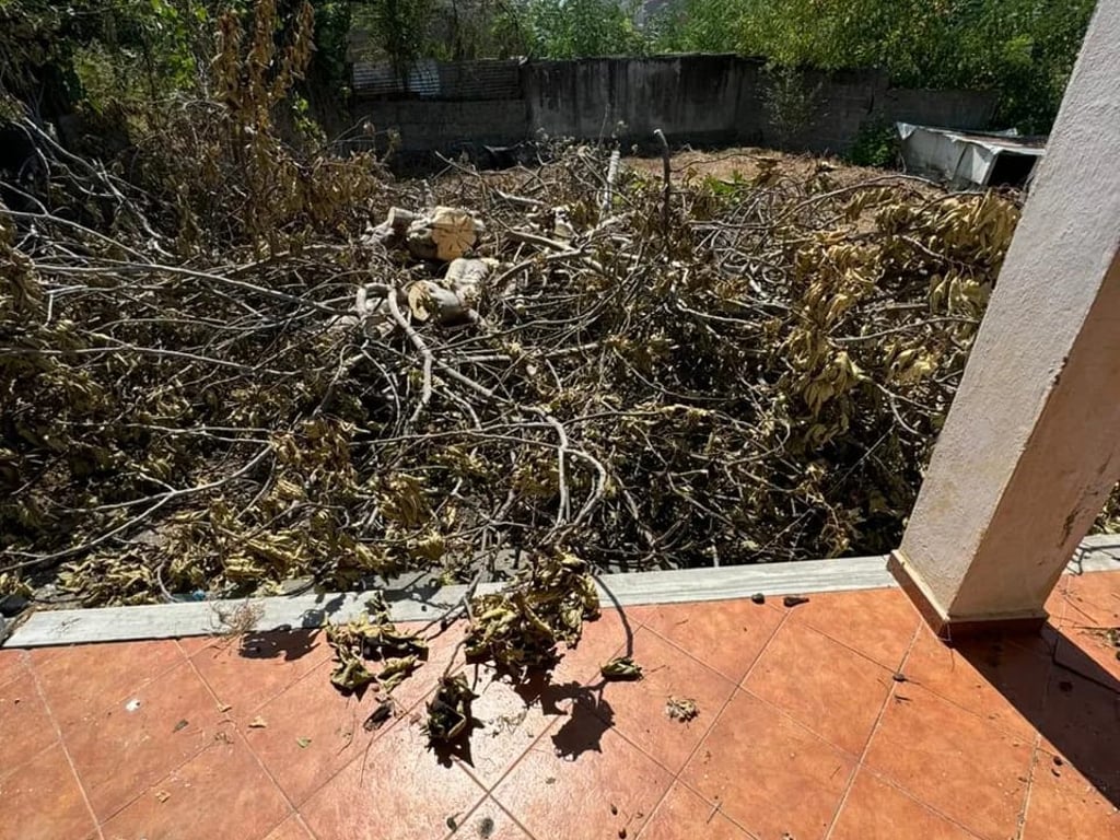 🔥Okazion🔥 ‼️Mundesi jetese ne nje zone shume te mire ‼️  🔥Shitet truall +plus shtepi te vjeter shume afer shkolles "Rilindja",Kavaje🔥