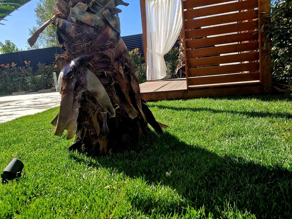 🔥Super luxury villa with a pool in Spille 🔥