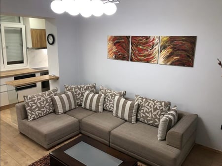 A 1+1 apartment is for rent in Myslym Shyr for 650 euros.
