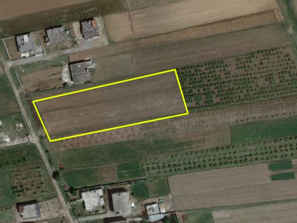 Momel, Land for a house with 130 olive tree roots