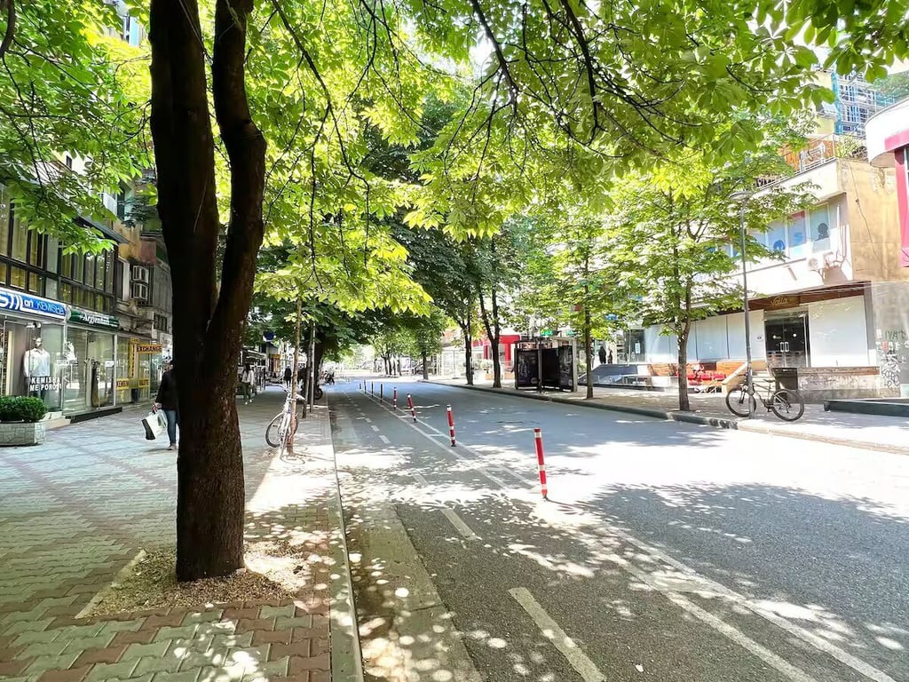 APARTMENT FOR RENT 1 +1 BLOCK LSI