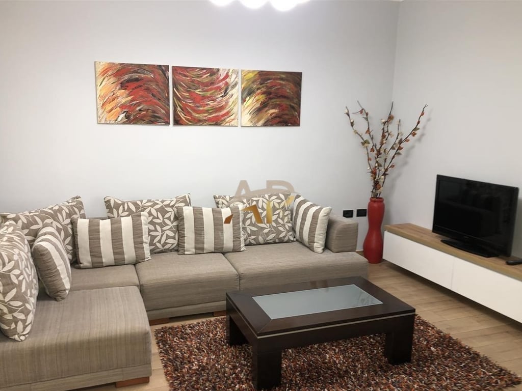 In Affitto: Appartamento 1+1 a Myslym Shyri