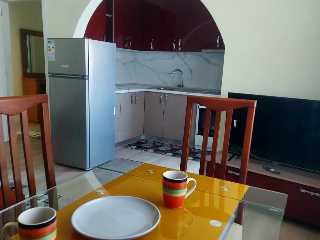 Affittasi appartamento 1+1, Ali Demi vicino alla Scuola Kushtrimi i Lirise Prezzo: 450 mila lekë