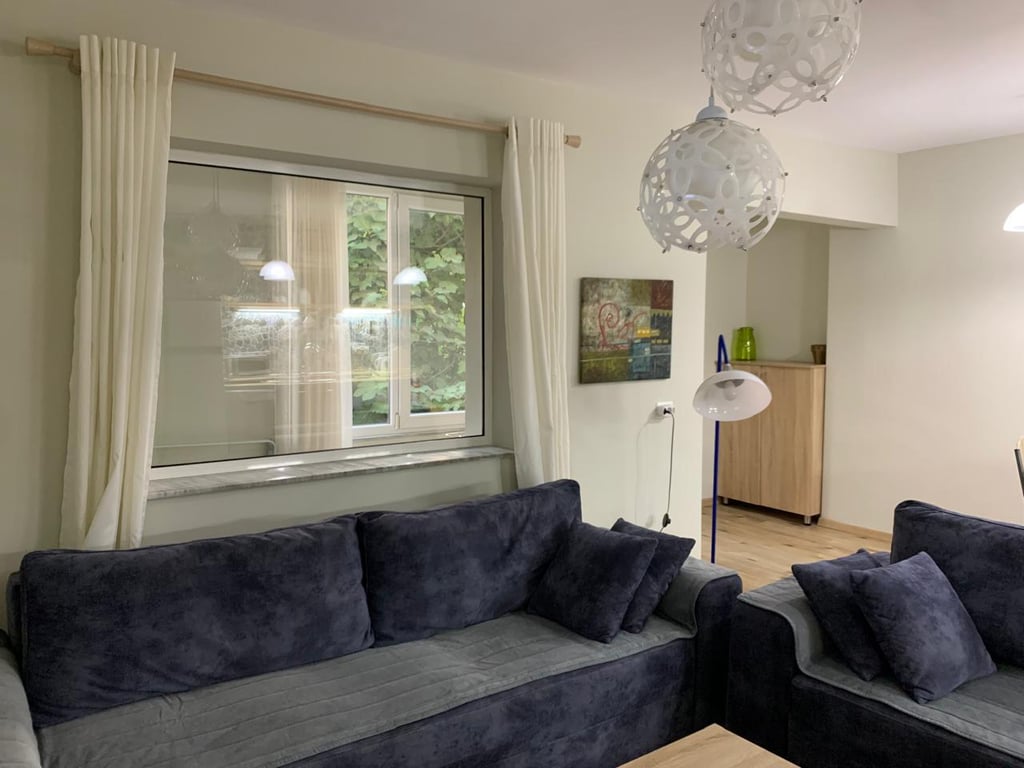 1+1 APARTMENT FOR RENT CENTER