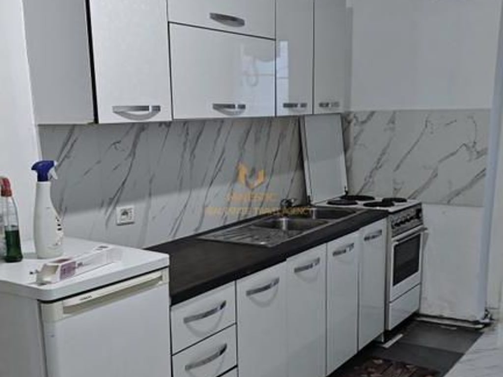 A 1+1 apartment is available for rent in Myslym Shyr, Tennis Field.