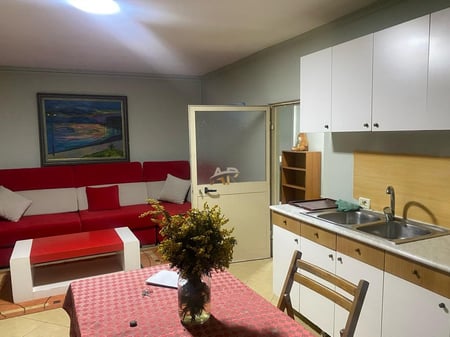 1+1 apartment for rent in Myslym Shyr.