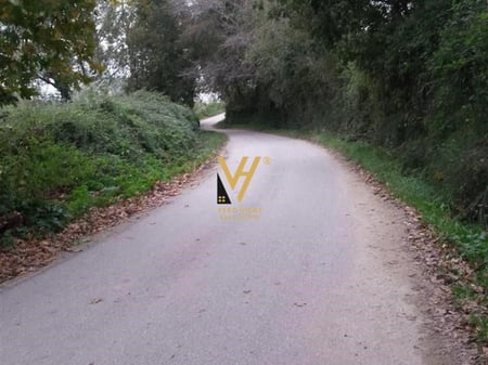 SHITET TOKE 8.000 M2 NE NDROQ 490.000 EURO