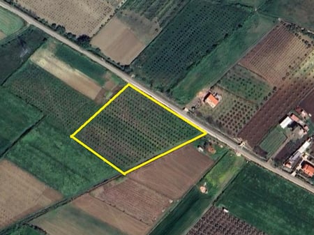 💠💠FOR SALE💠💠 Land planted with pomegranates, Golem, Kavaje