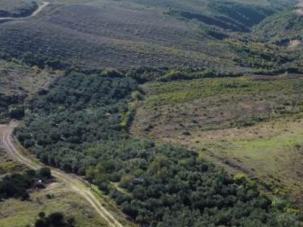 ⚡️Mundesi per agroturizem⚡️ Shitet pemetari  me kultura te ndryshme ,ne zone 7 km nga deti  Spillese,me pamje nga deti