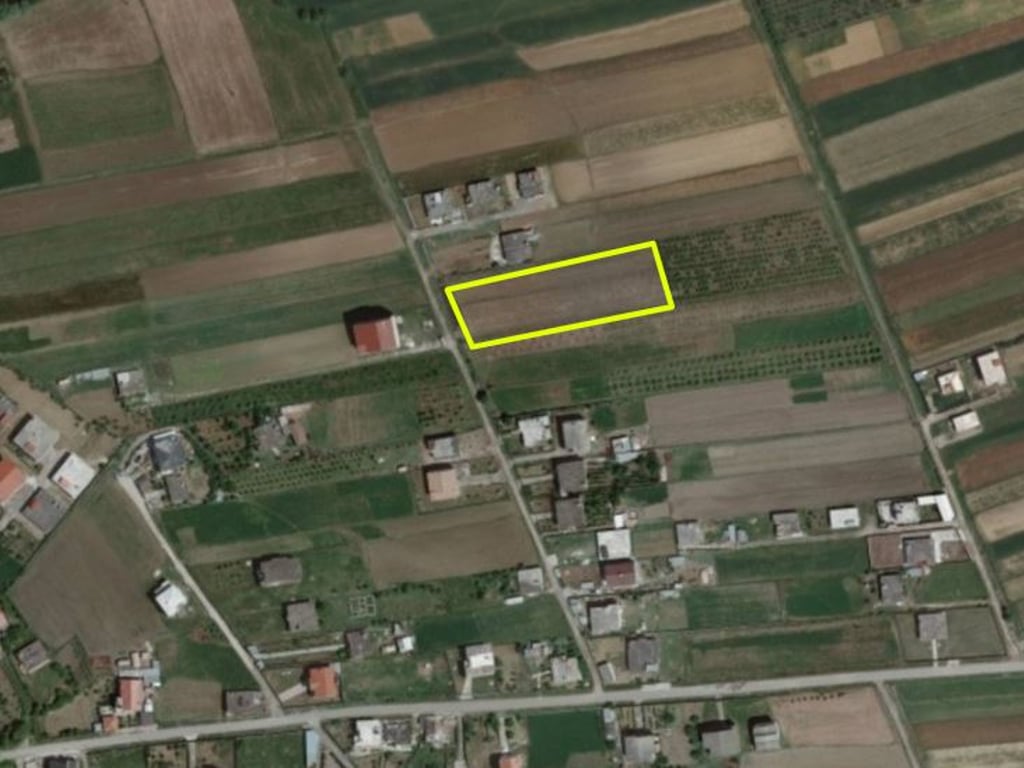 Momel, Land for a house with 130 olive tree roots