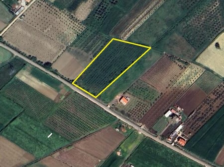 ‼️FOR SALE‼️🍐Land planted with pear trees, Golem, Kavaja